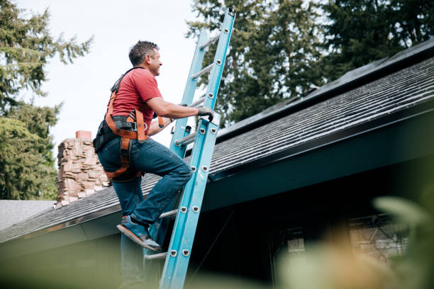 Professional Roofing service in Milliken, CO